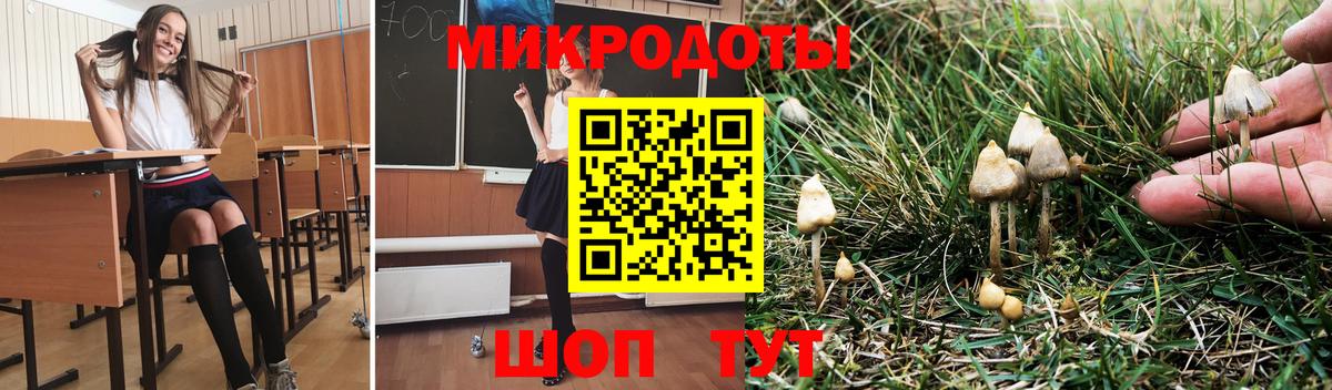 Псилоцибиновые грибы MAGIC MUSHROOMS Владимир