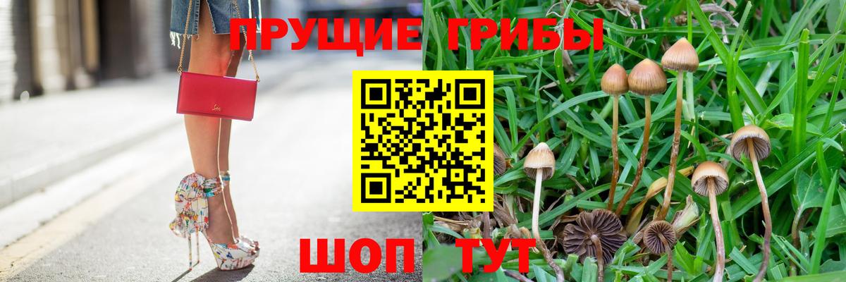 Владимир  Галлюциногенные грибы Magic Shrooms  купить наркотики цена  Вход с VPN 